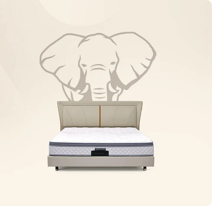 BCD1-111 DeRUCCI Bed Frame 2