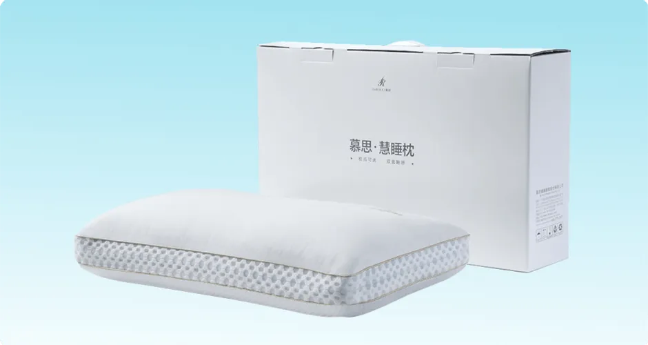PCI1-001 DeRUCCI Smart Pillow 3